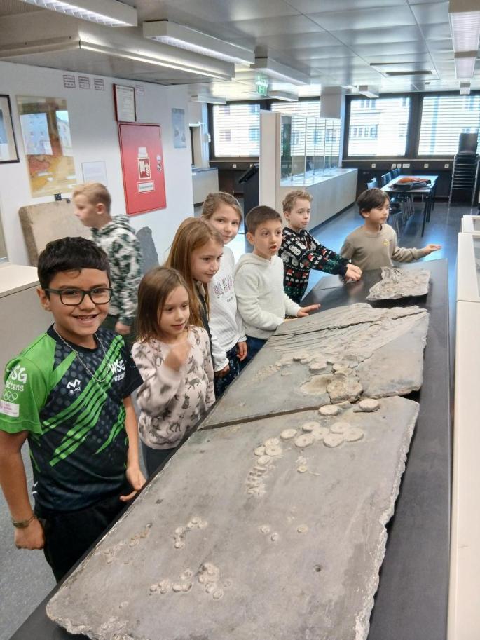 Fossilienworkshop
